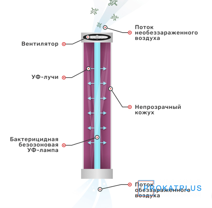 src